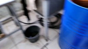 Как избавиться ОТ ГРИБНОГО КОМАРИКА на 100%? ПРОВЕРЕННОЕ СРЕДСТВО!