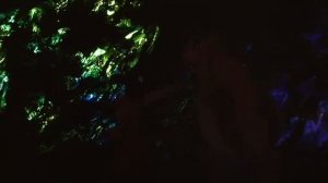 Двенадцать подвигов Астерикса (1976) Мультипликация/Боевик