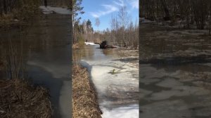 Покатушки, Сузуки Джимни, Сузуки Гранд Витара, Крузак 100. Поездка на озеро