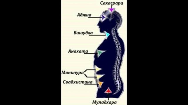 Чакры, система контроля ? смотреть онлайн