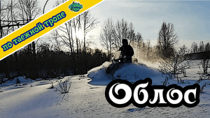 Жизнь в тайге. Один в лесу. Спасение облоса