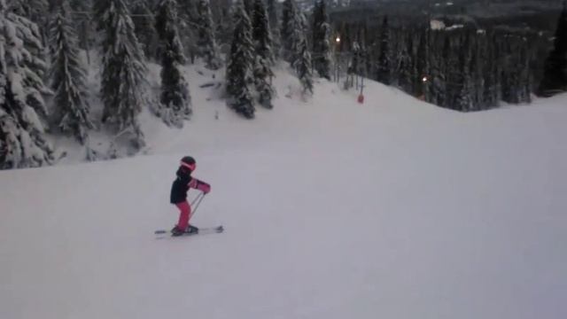 Горные лыжи.Обучение технике катания.Ski Factor.