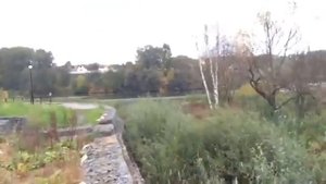 Река нечистот из ЖК "Эко Видное" и "Видный Берег" впадает в пруд реки Купелинка. Вонь ужасная!
