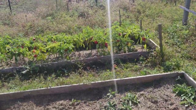 вольер для бройлеров часть 2 смотреть онлайн