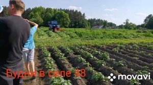 Покос сена(Люцерна) трактор МТЗ-82, роторной косилкой.