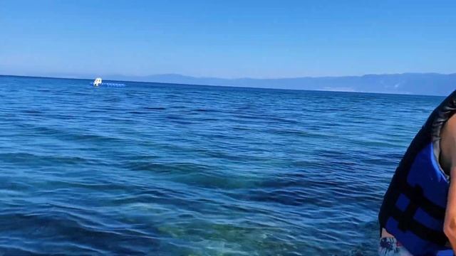 ŞİŞME BOTLA GEZİNTİ | TOMKİNG ÇİM BİÇME MOTORUNDAN BOT MOTORU| BOT İLE MARKETE GİTTİK смотреть онлайн