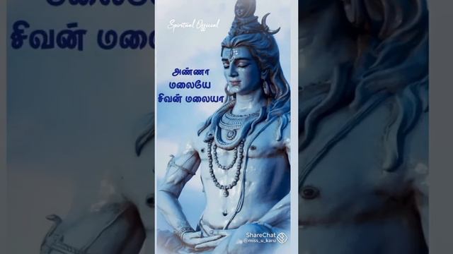 Lord Siva song trendy status|Karunai endral panimalayam song WhatsAp status@Divinity Creations Tami