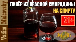 Ликёр из красной смородины на спирту. Мальковский Вадим