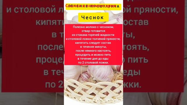 как правильно лечить простатит   #простатит