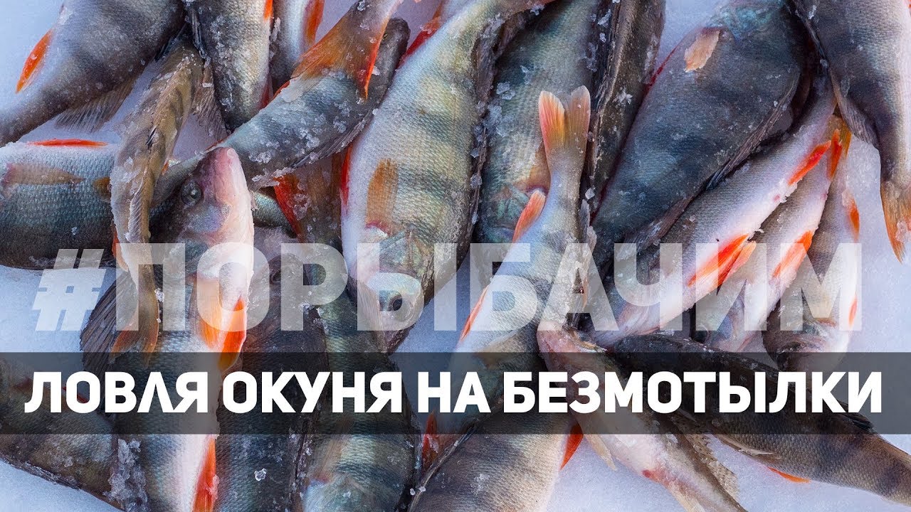 Забытая Секретная мормышка дает фору всем. Окунь на безмотылку в корягах смотреть онлайн