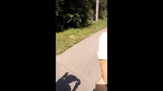 Прогулка к речке з собакой