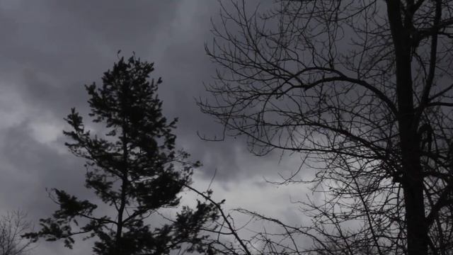 КОТ С ТОГО СВЕТА    МИСТИЧЕСКАЯ ИСТОРИЯ НА НОЧЬ   СТРАШНАЯ СКАЗКА    ПОДКАСТ