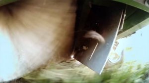 Натуральный каучук из корней одуванчика - шина будущего.