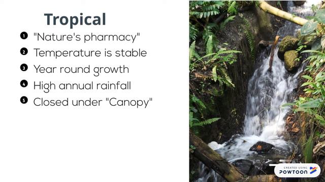 Bio 100 смотреть онлайн