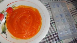 Заморозка тыквенного пюре