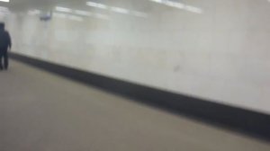 Лифт на станции метро Фонвизинская