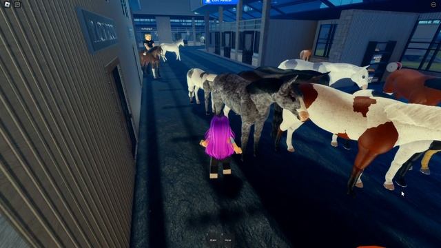 Roblox Horse Games 39