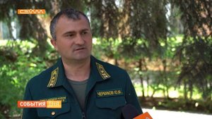Штрафы за разведение костров в лесу выросли в 10 раз