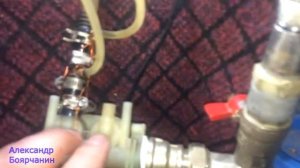 Протока. Домашний аквариум доступен для всех.