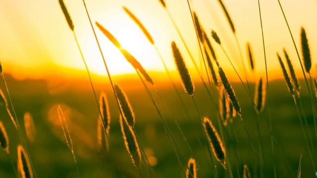 музыка для души ❀ расслабляющая музыка для сна, успокаивающая музыка, фоновая музыка ❀ смотреть онлайн