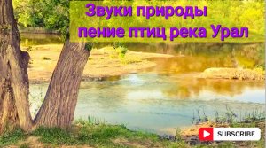 Природа Южного Урала Звук природы ?