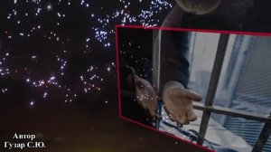 гр. Бутырка    "Звездочки"