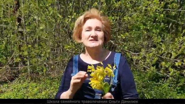 Первоцвет – первый дар весны!