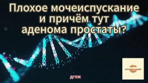 плохое мочеиспускание и аденома простаты #знания #аденома #shot #shots