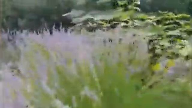 Бутик-отель Евпаторион смотреть онлайн