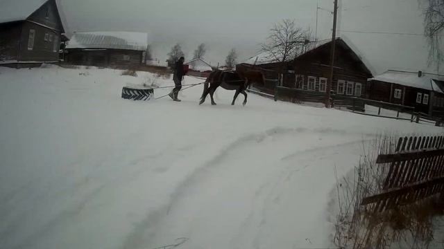 Жеребец чистит снег ПОКРЫШКОЙ от трактора//Жизнь в деревне.