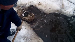 Зимняя рыбалка сачком