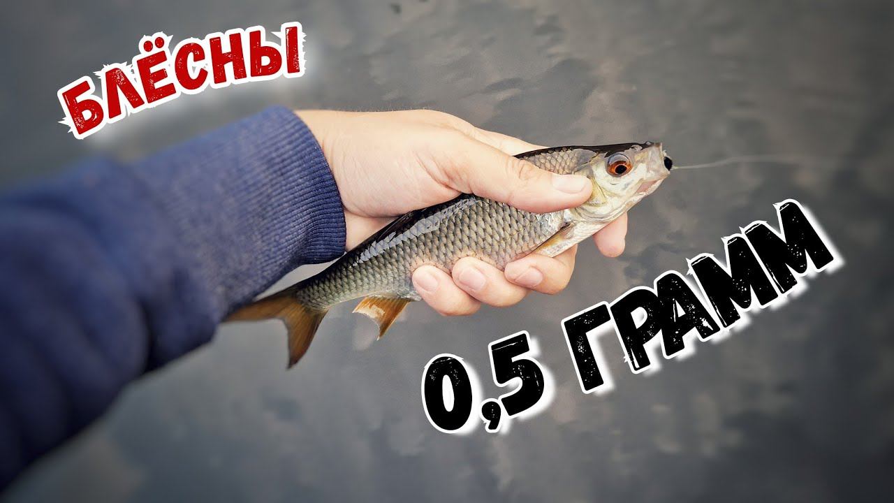 Наноколебалка: проводки, снасти и поклёвки смотреть онлайн