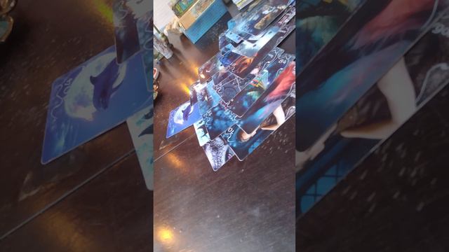 Какие негативные программы не дают мне идти вперёд!!!🤔🤔🤔🤦♀️🤦♀️🤦🤦😭❤️❤️❤️🙏 смотреть онлайн