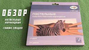 ОБЗОР на ПАСТЕЛЬНЫЕ КАРАНДАШИ ГАММА СТУДИЯ