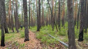 #3 ПЕШИЙ ПОХОД ПО БАЙКАЛУ / БУГУЛЬДЕЙКА - БУХТА ПЕСЧАНАЯ/ ОБЗОР ПАЛАТКИ И СПАЛЬНИКОВ / ДЕНЬ 3