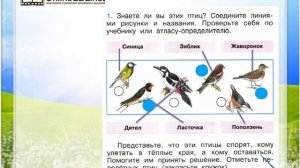Задание 1 Где зимуют птицы? - Окружающий мир 1 класс (Плешаков А.А.) 2 часть