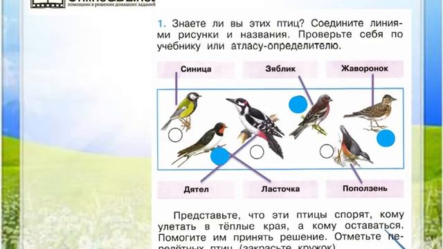 Окружающий мир 1 класс презентация где зимуют птицы 1 класс