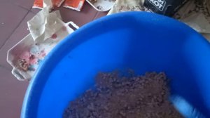 Сода от запаха в лотки?!