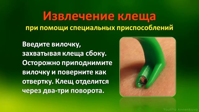 Осторожно: КЛЕЩИ! смотреть онлайн