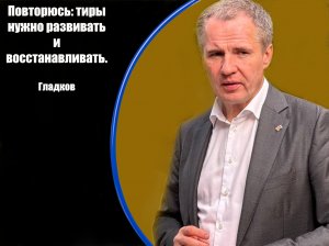 Информация о нанесенных ВСУ ударах по Белгородскому региону за 21 июня