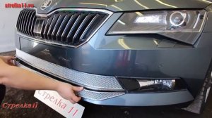 Защита радиатора PREMIUM SKODA SUPERB III 2015-2018г.в. (Хром) - strelka11.ru