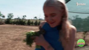 Крым на 360. Ферма