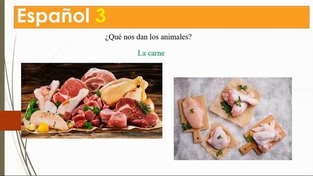 Тема 18. Что дают животные человеку? смотреть онлайн