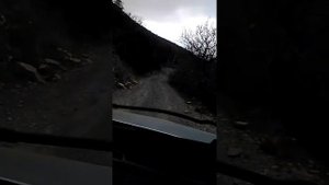 Дорога на малый Утриш