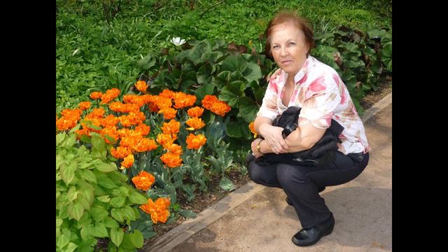 НАМ 150 ПЛЮС.  Часть 4.0 смотреть онлайн