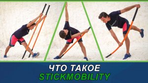 Что такое Stick Mobility? (мобильная палка) #stickmobility