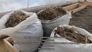 Коровяк как удобрение: виды, использование