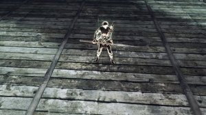 Dark Souls 2 подробно [10] - Забытая Грешница