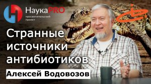 Самые странные источники антибиотиков – Алексей Водовозов | Лекции по медицине | Научпоп