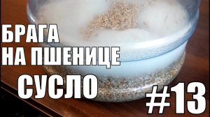 Брага на пшенице. Сусло.Самогонный аппарат своими руками. Самогон. Фильм №13.